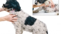 Щотижнева перевірка